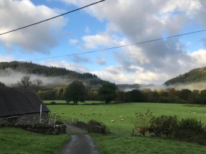 Tyddyn Bach Barn